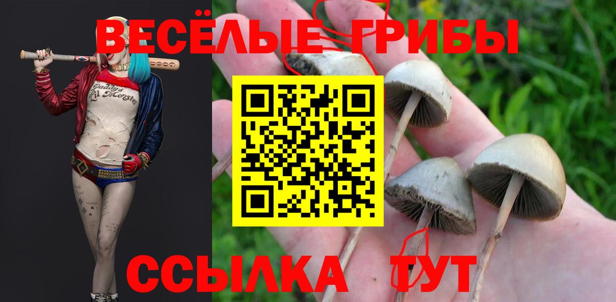Галлюциногенные грибы мухоморы  Вход с VPN  Мичуринск 